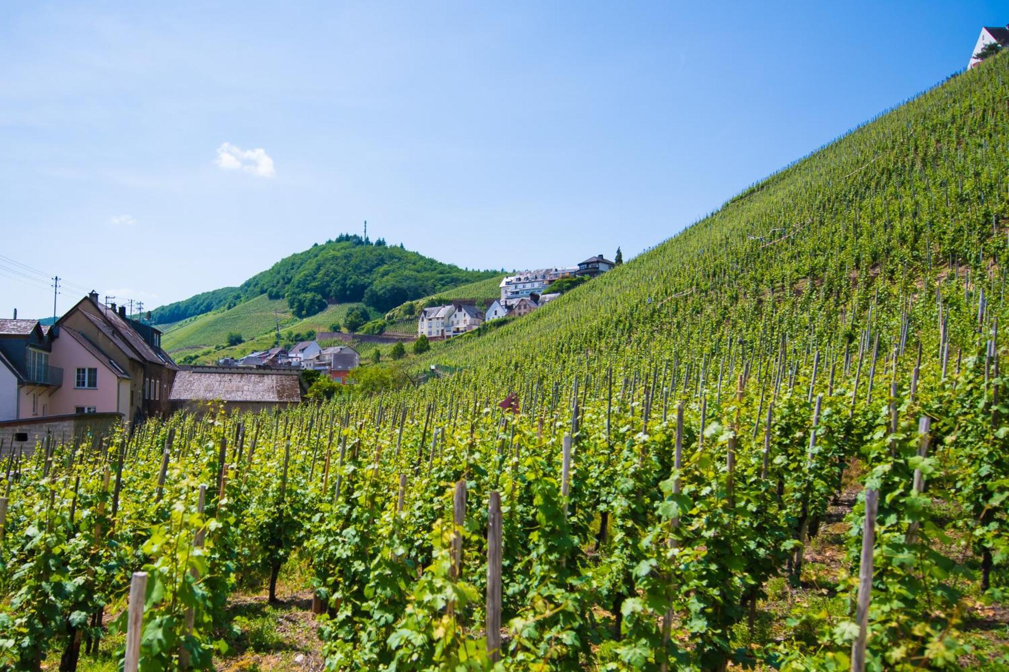 Gaestehaus C.H.Berres Uerzig-Mosel 客房 照片
